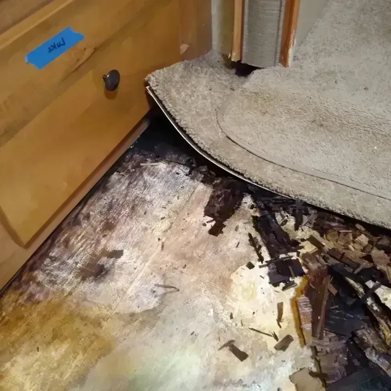 Wood Floor Water Damage in Hastings, MN